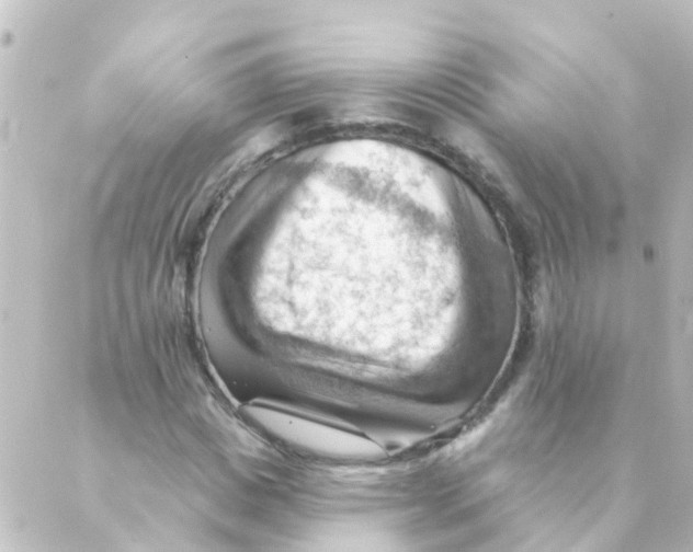 X0000088650825200706221608