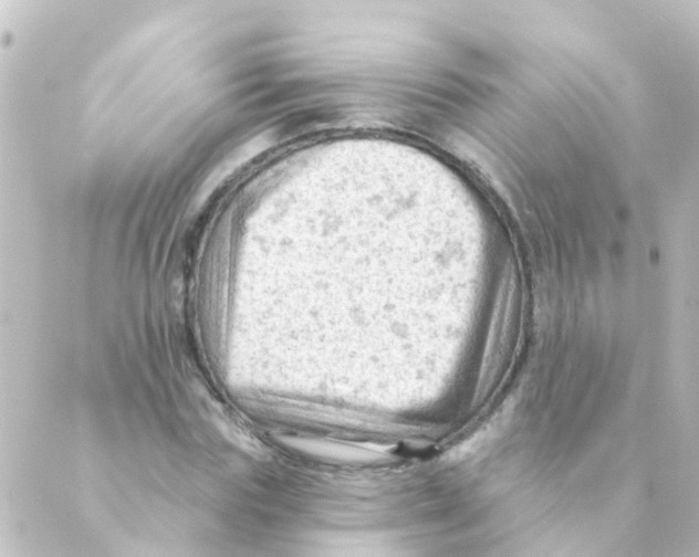 X0000088650827200706221608