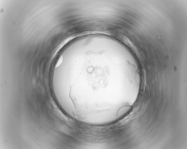 X0000088650828200706221608