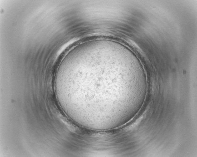 X0000088650830200706221608