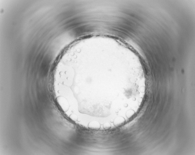 X0000088650832200706221608