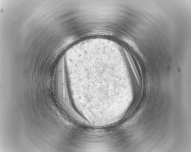 X0000088650833200706221608