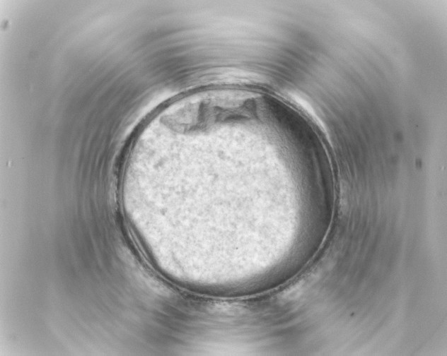 X0000088650835200706221608