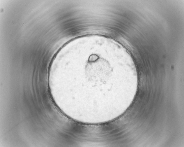 X0000088650836200706221608