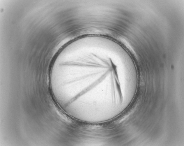 X0000088650837200706221608