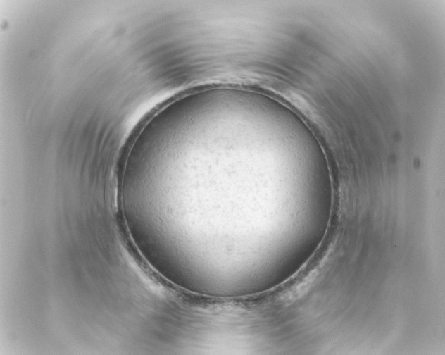 X0000088650838200706221608