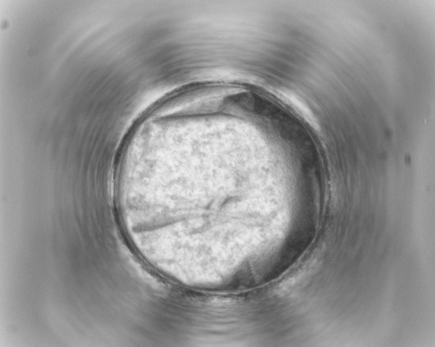 X0000088650839200706221608