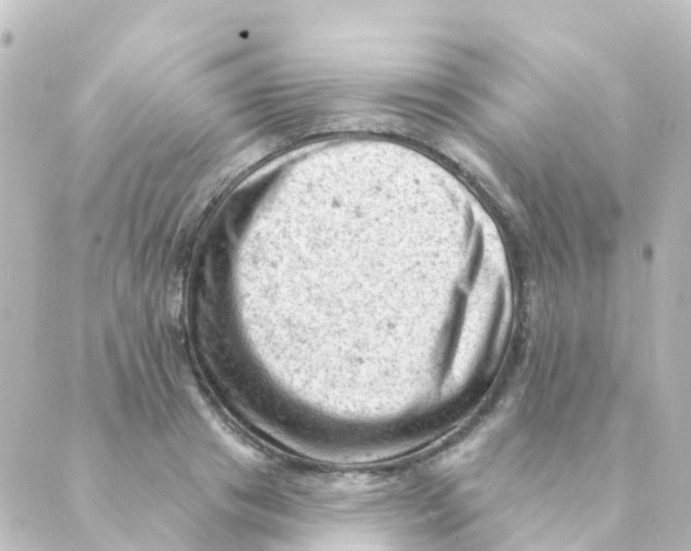 X0000088650841200706221608