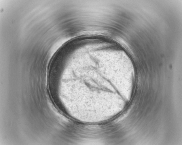 X0000088650844200706221608