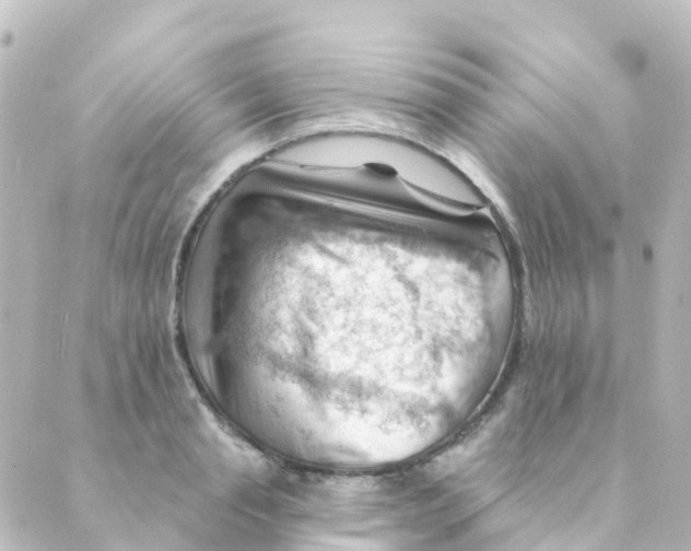 X0000088650845200706221608