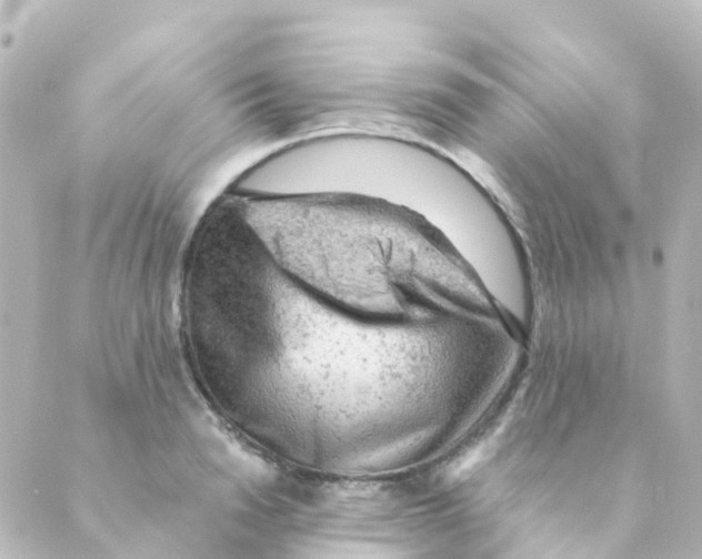 X0000088650846200706221608