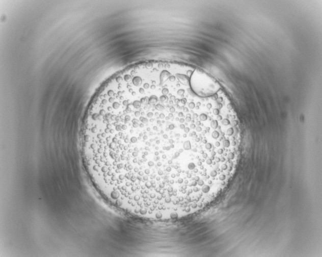 X0000088650848200706221608