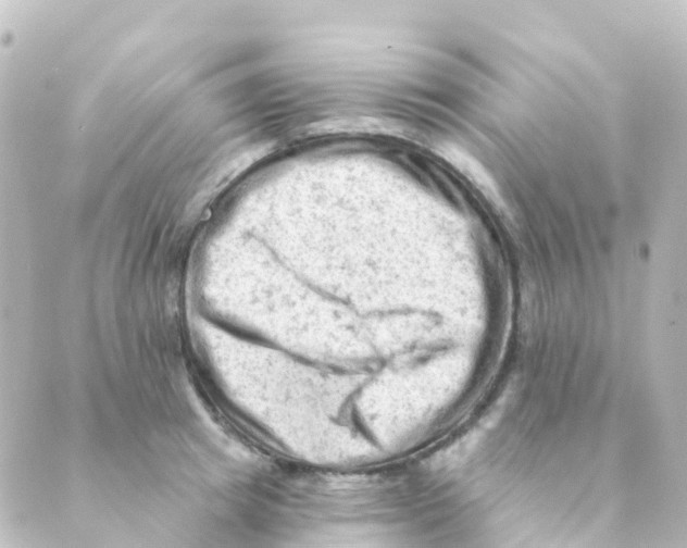 X0000088650849200706221608