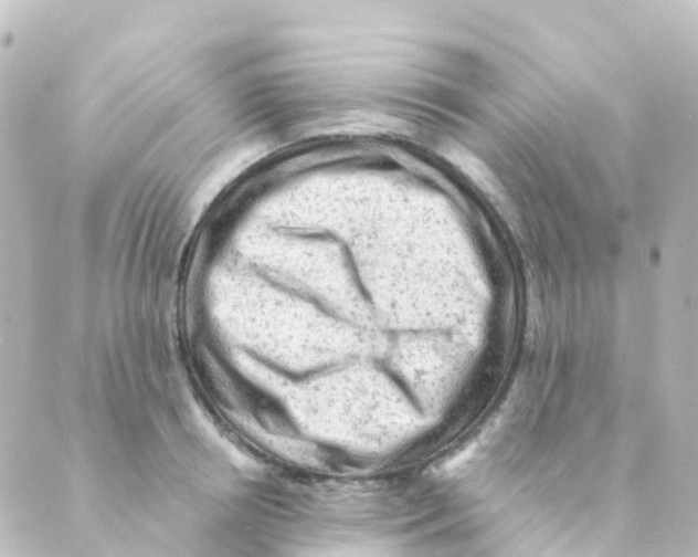 X0000088650850200706221608