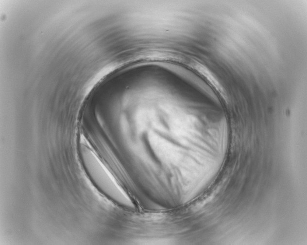 X0000088650853200706221609