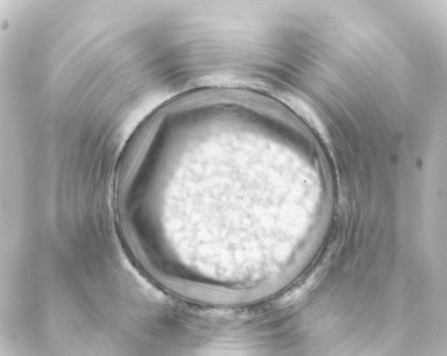 X0000088650855200706221609