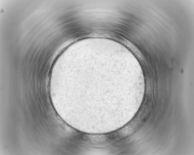 X0000088650856200706221609