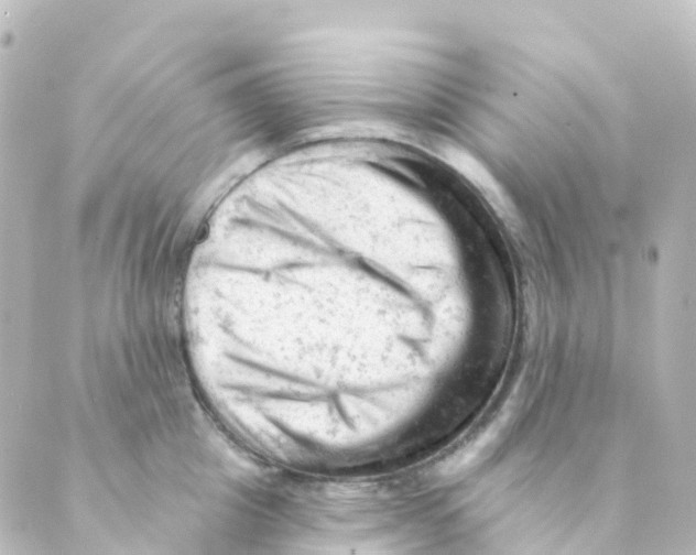 X0000088650857200706221609