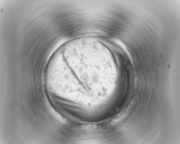 X0000088650859200706221609