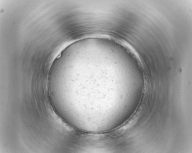 X0000088650860200706221609