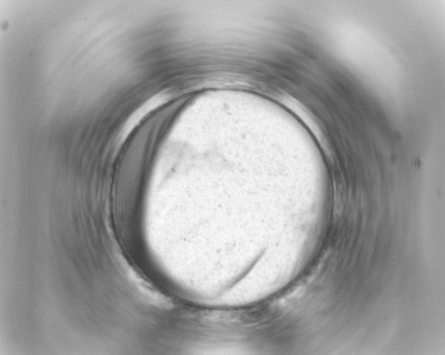 X0000088650861200706221609