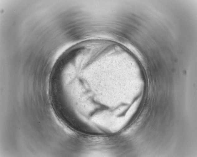 X0000088650862200706221609