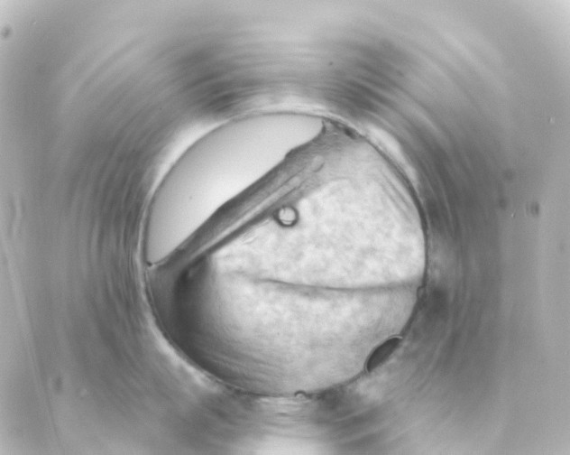 X0000088650863200706221609