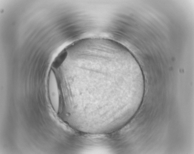 X0000088650864200706221609