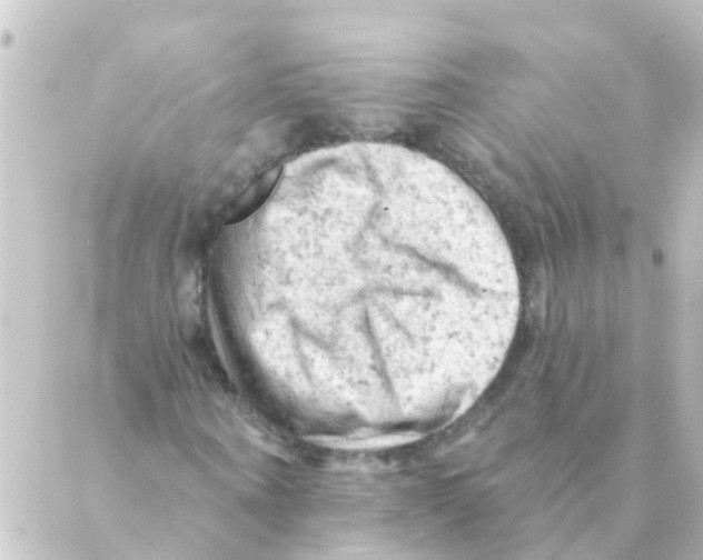 X0000088650866200706221608