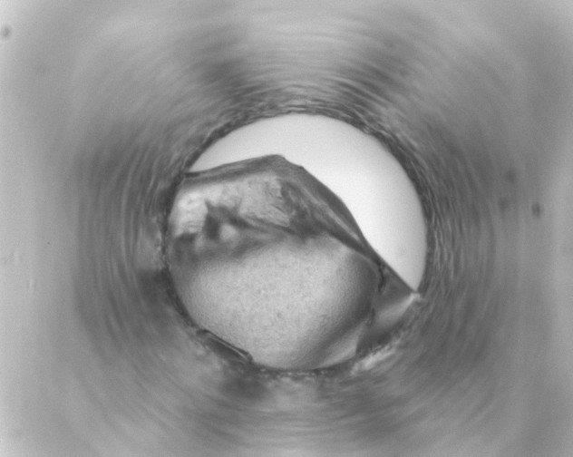 X0000088650868200706221608