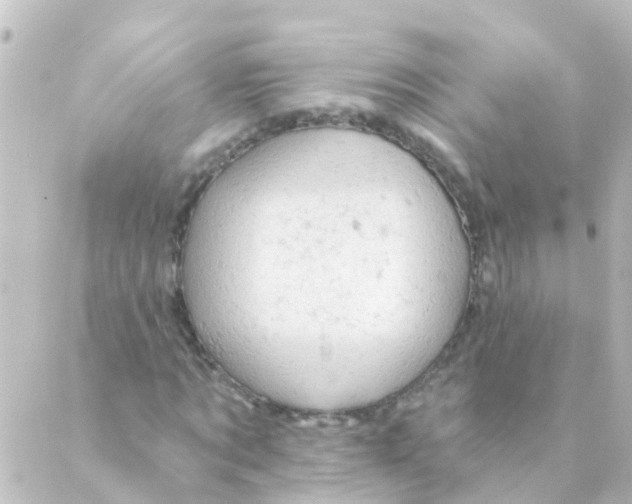 X0000088650869200706221608