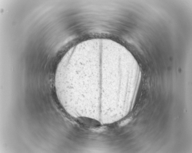 X0000088650870200706221608