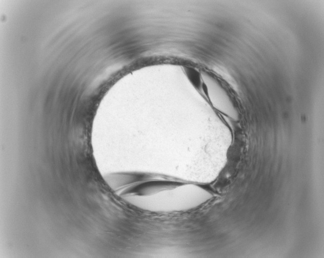 X0000088650872200706221608