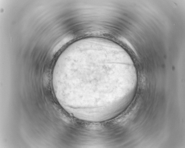 X0000088650874200706221608