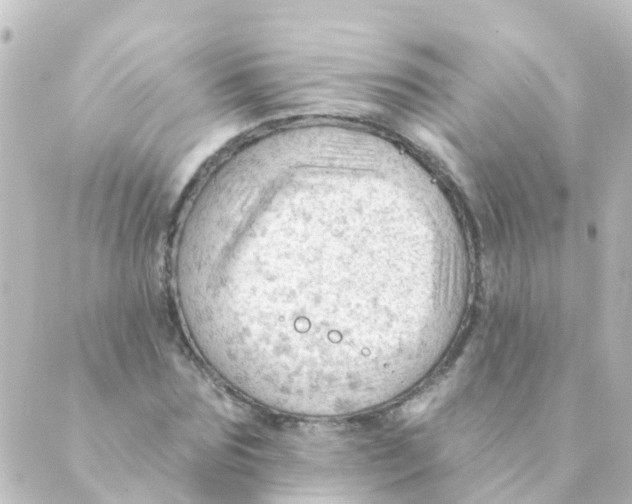 X0000088650875200706221608