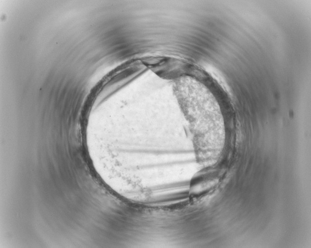 X0000088650876200706221608