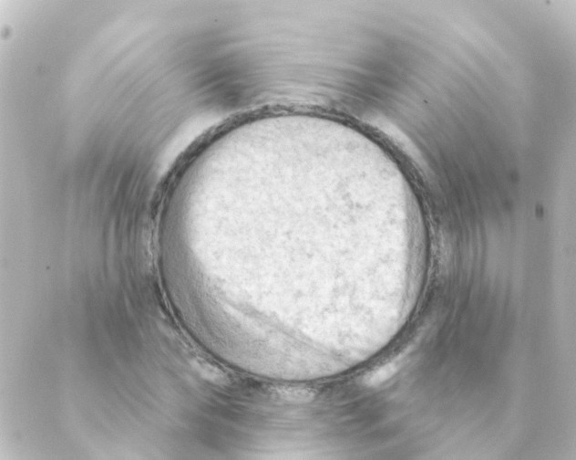 X0000088650878200706221608