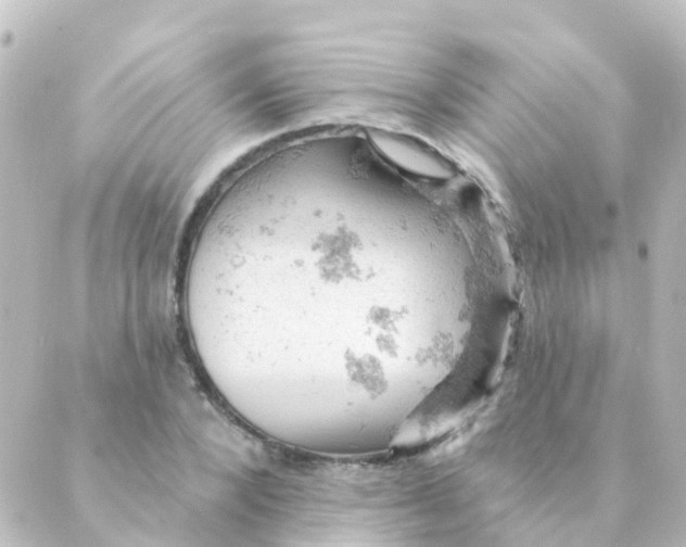 X0000088650880200706221608