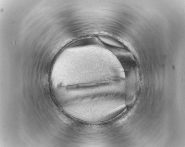 X0000088650881200706221608