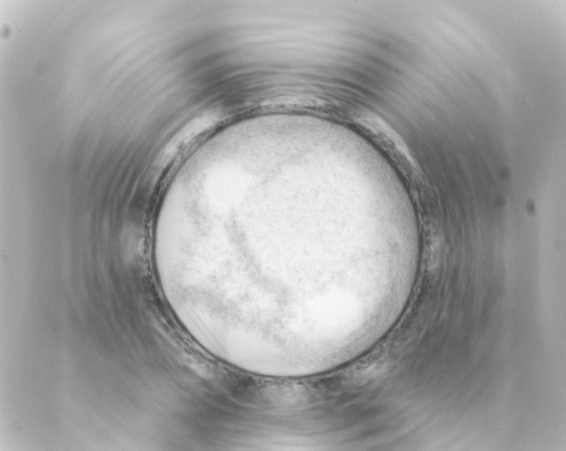 X0000088650882200706221608