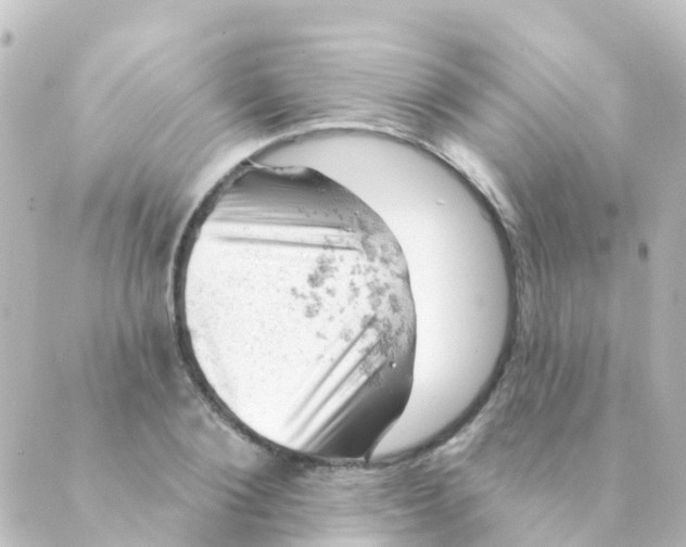 X0000088650884200706221608