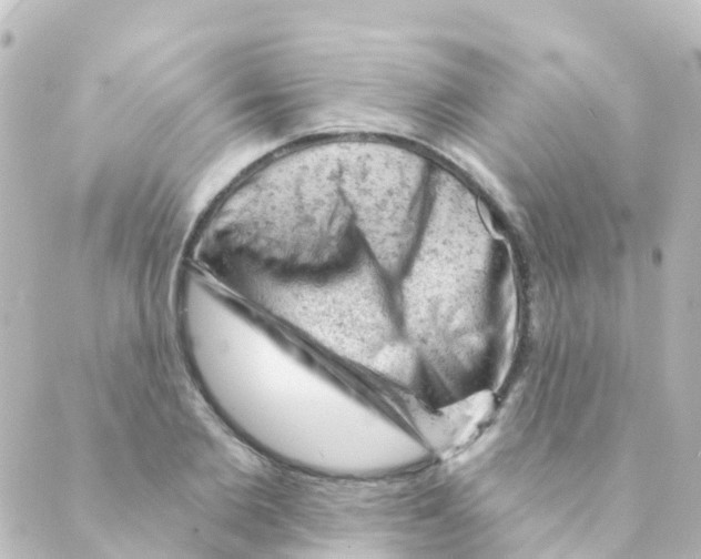 X0000088650885200706221608