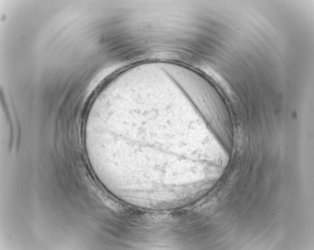 X0000088650886200706221608