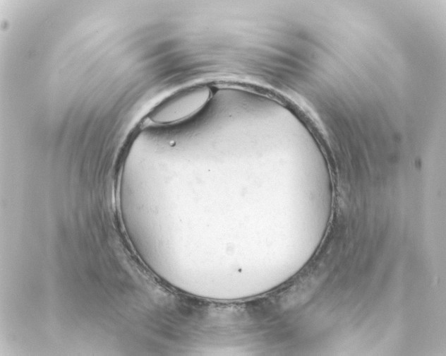 X0000088650887200706221608