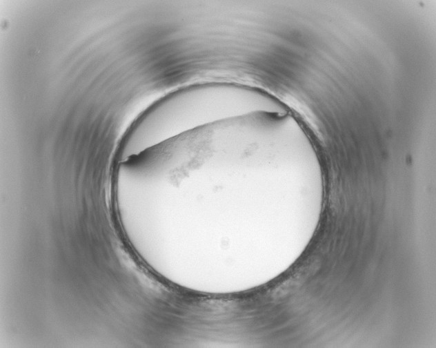 X0000088650888200706221608