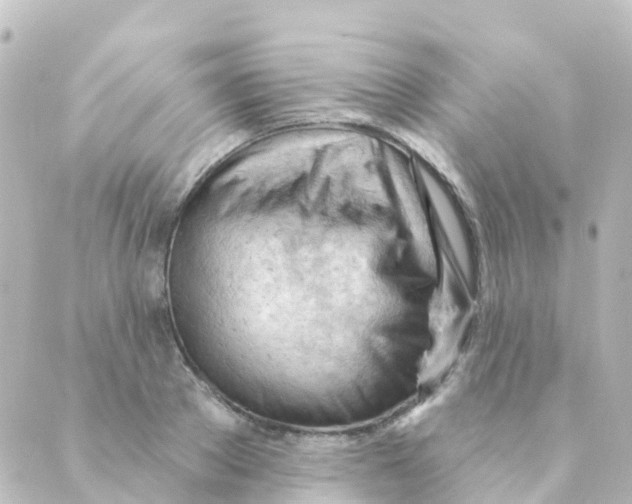 X0000088650889200706221608