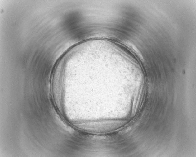 X0000088650890200706221608