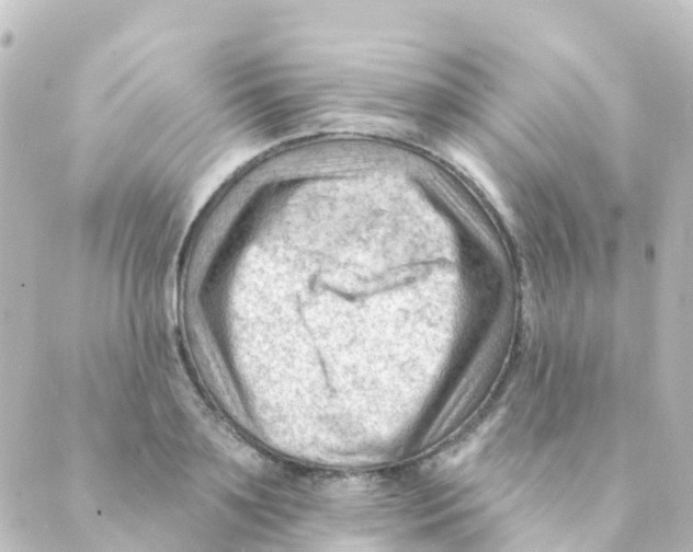 X0000088650891200706221608