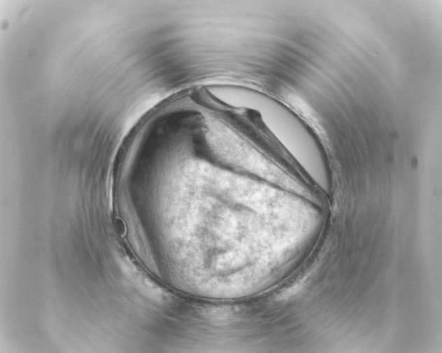 X0000088650892200706221607