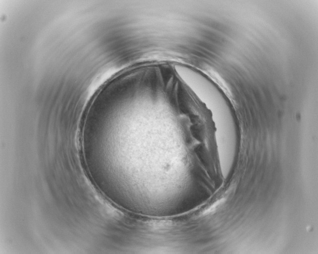 X0000088650893200706221607